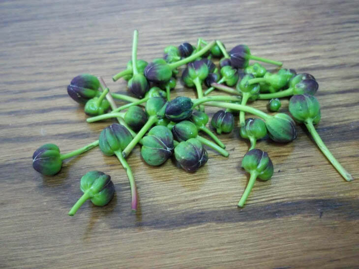 What Do Capers Taste Like And How Are They Used?